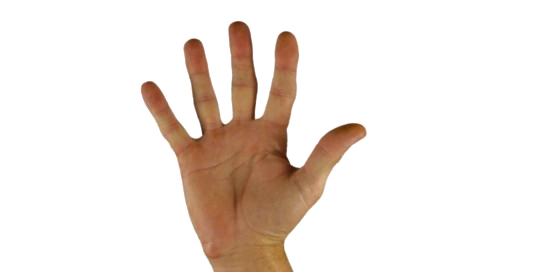 Barcode Scanning Technology Top 5 Barcode Scanning Technology Top 5