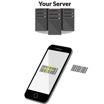 Validate Scans on Your Server Validate Scans on Your Server